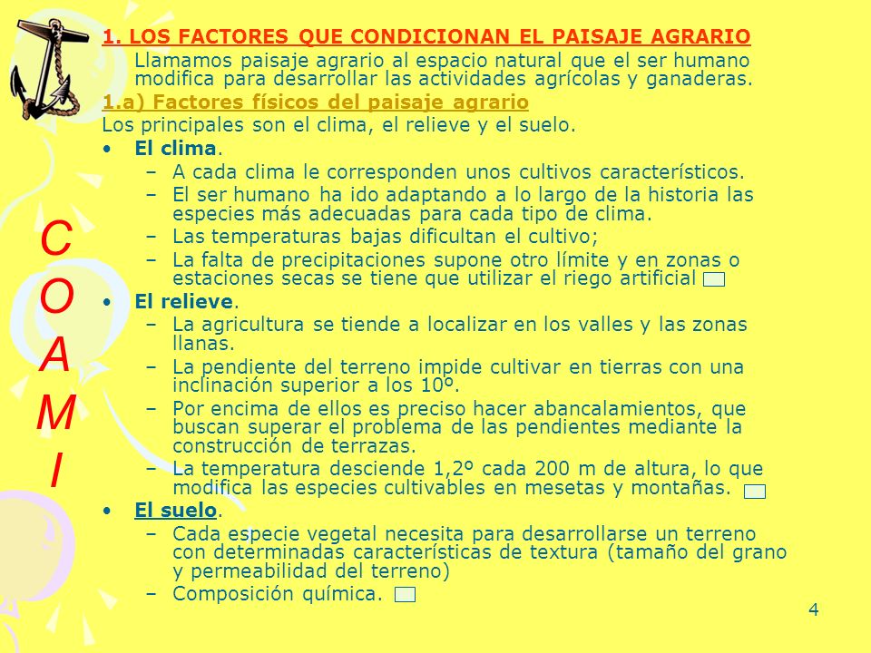 C O A M I 1. LOS FACTORES QUE CONDICIONAN EL PAISAJE AGRARIO