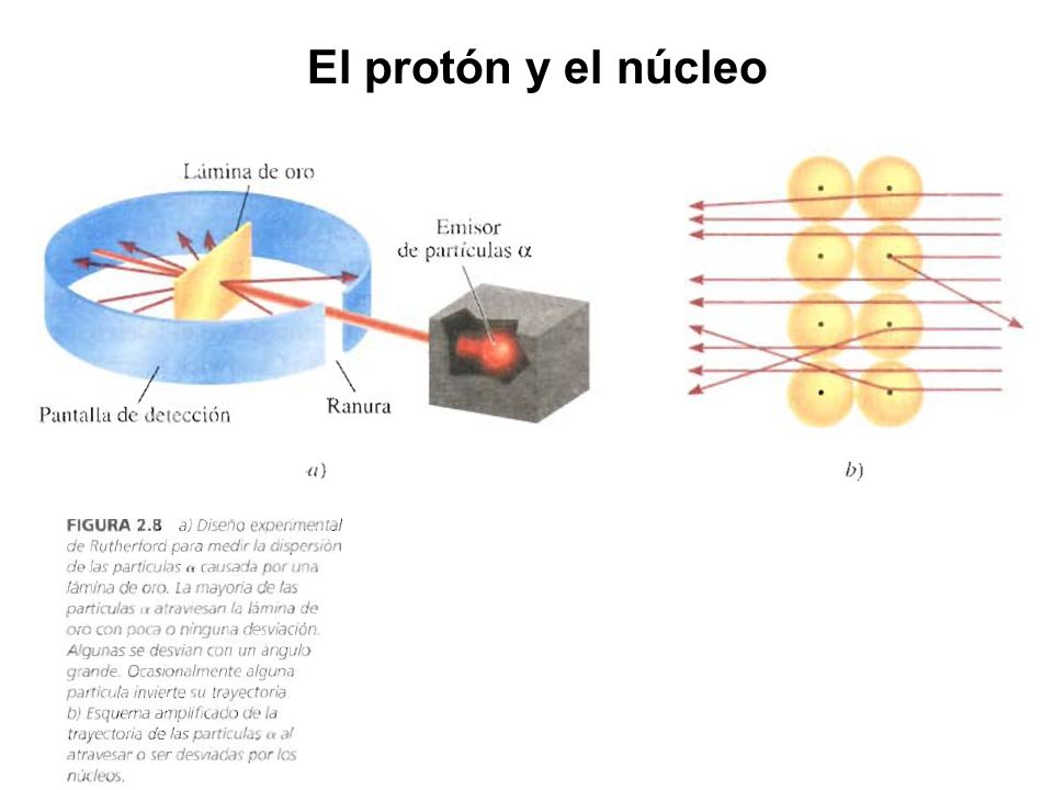 El protón y el núcleo
