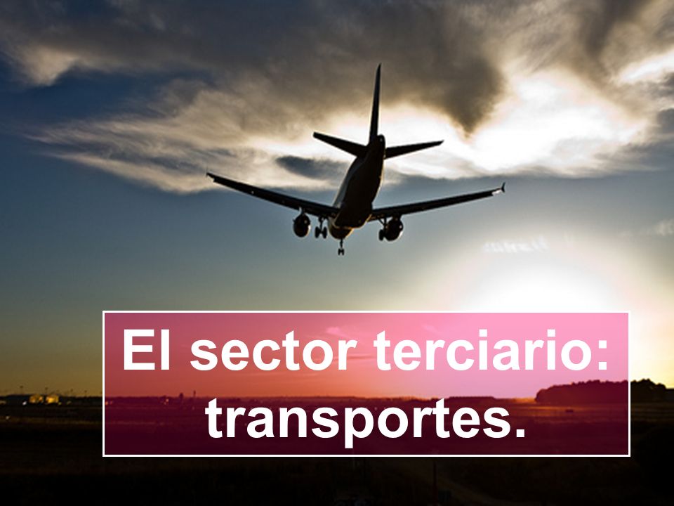 El sector terciario: transportes.