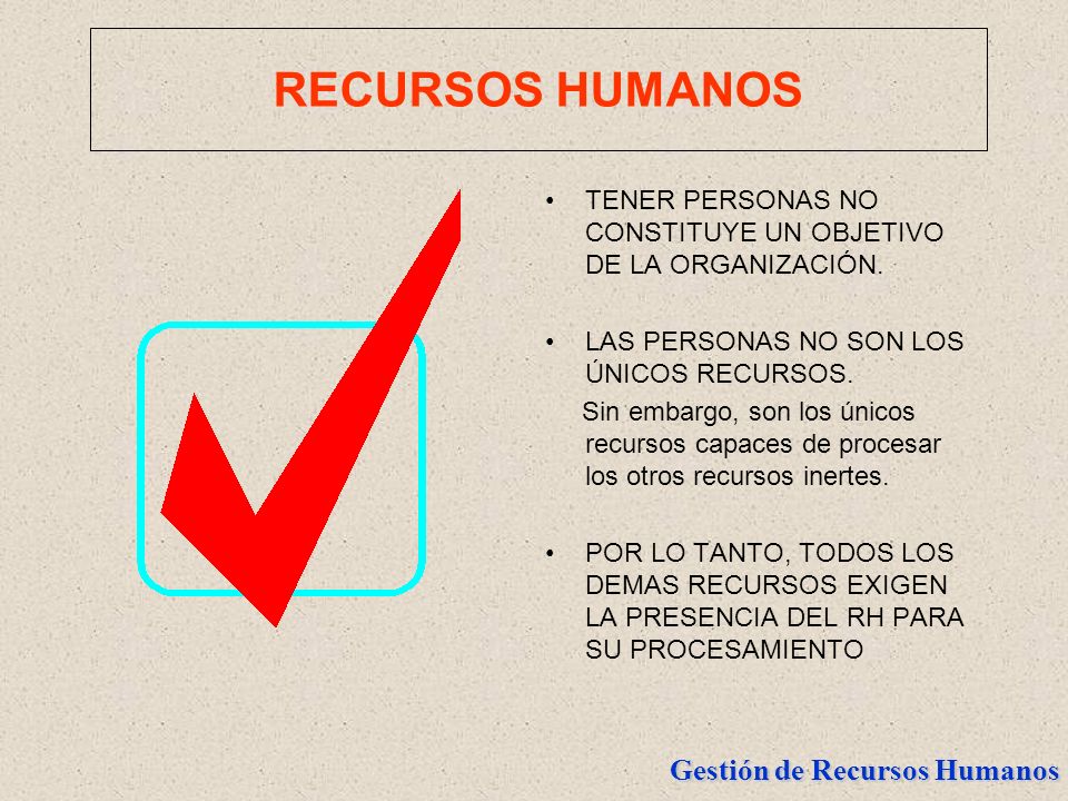 RECURSOS HUMANOS TENER PERSONAS NO CONSTITUYE UN OBJETIVO DE LA ORGANIZACIÓN. LAS PERSONAS NO SON LOS ÚNICOS RECURSOS.