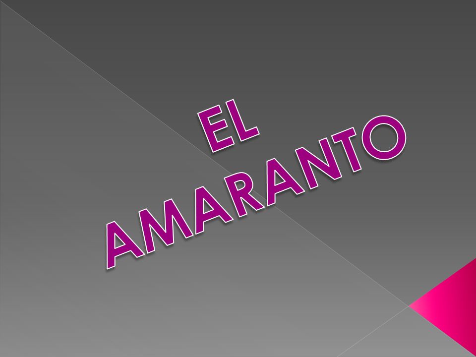 EL AMARANTO 1