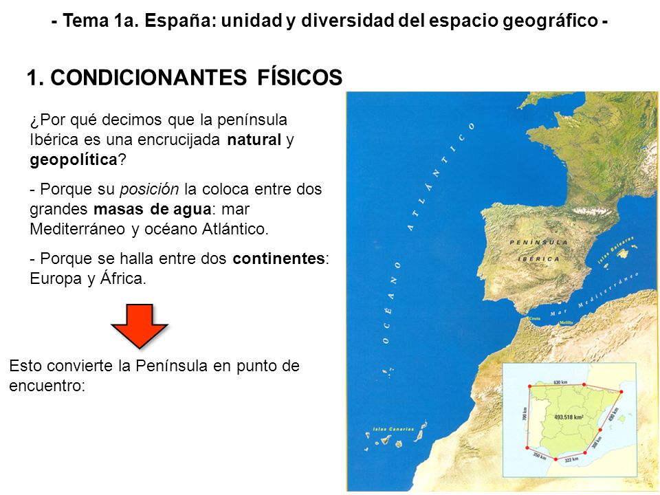 - Tema 1a. España: unidad y diversidad del espacio geográfico -