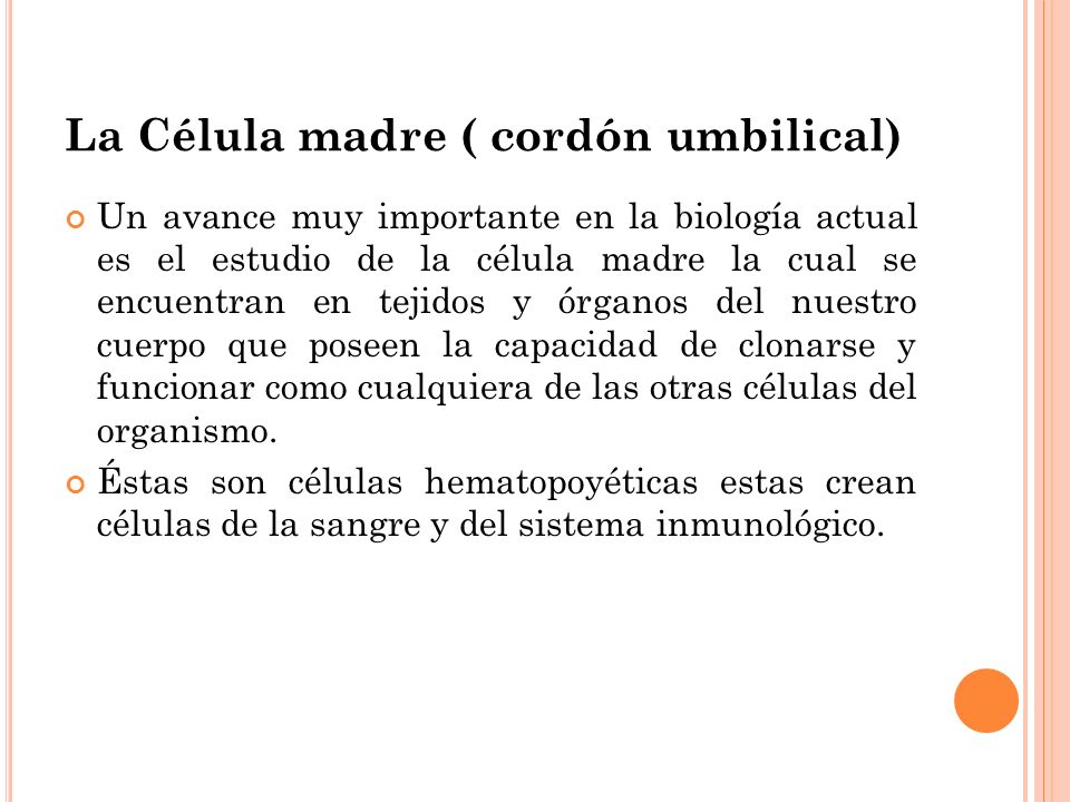 La Célula madre ( cordón umbilical)