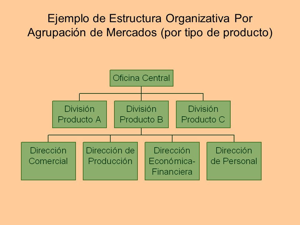 Ejemplo de Estructura Organizativa Por Agrupación de Mercados (por tipo de producto)