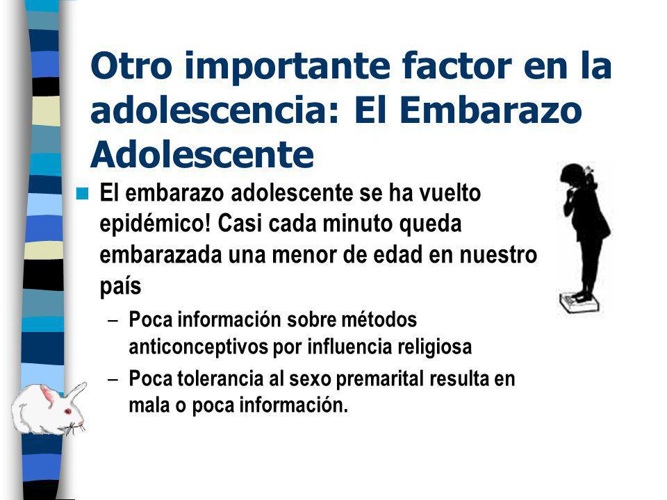 Otro importante factor en la adolescencia: El Embarazo Adolescente