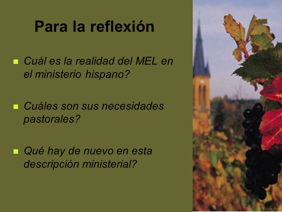 Para la reflexión Cuál es la realidad del MEL en el ministerio hispano Cuáles son sus necesidades pastorales