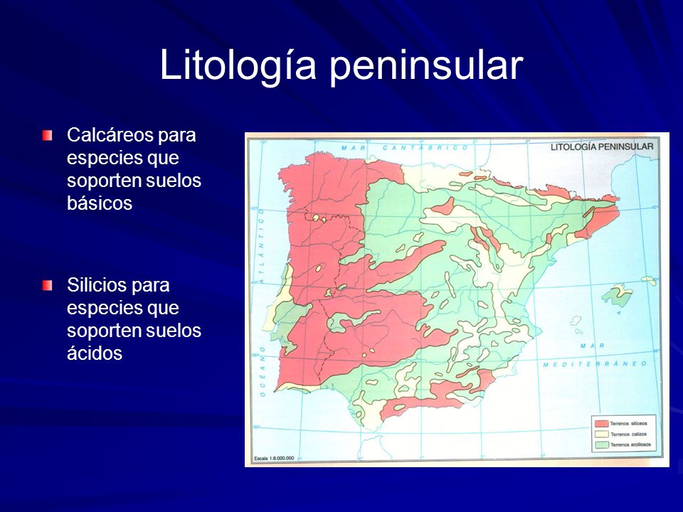 Litología peninsular Calcáreos para especies que soporten suelos básicos.