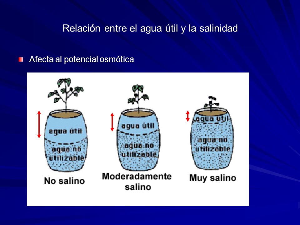Relación entre el agua útil y la salinidad