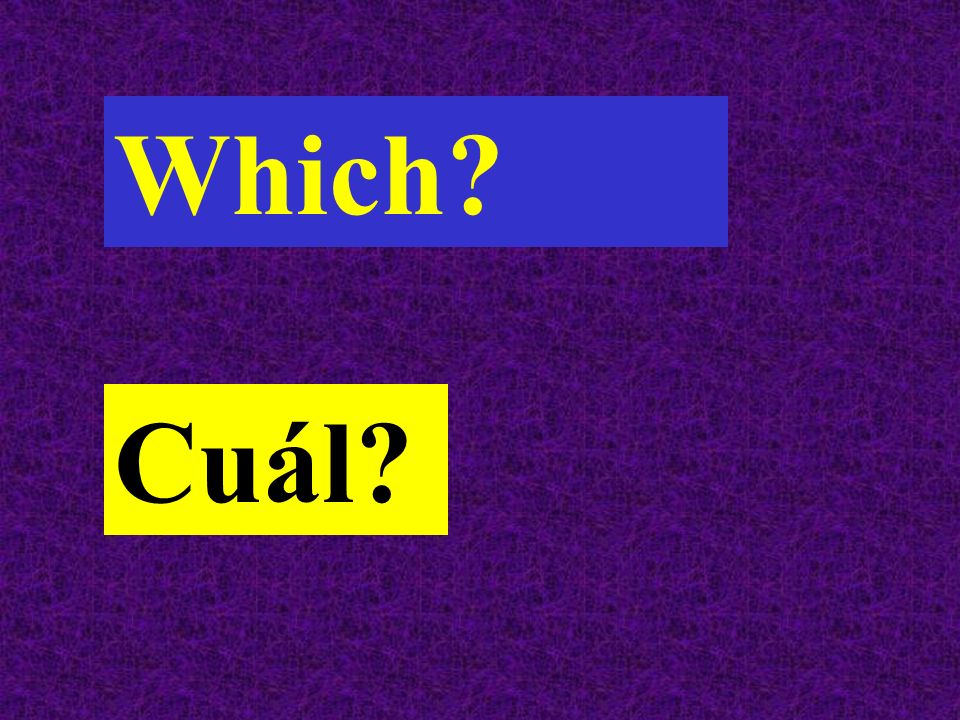 Which Cuál