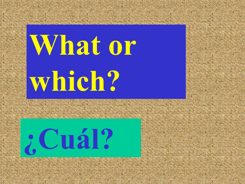 What or which ¿Cuál