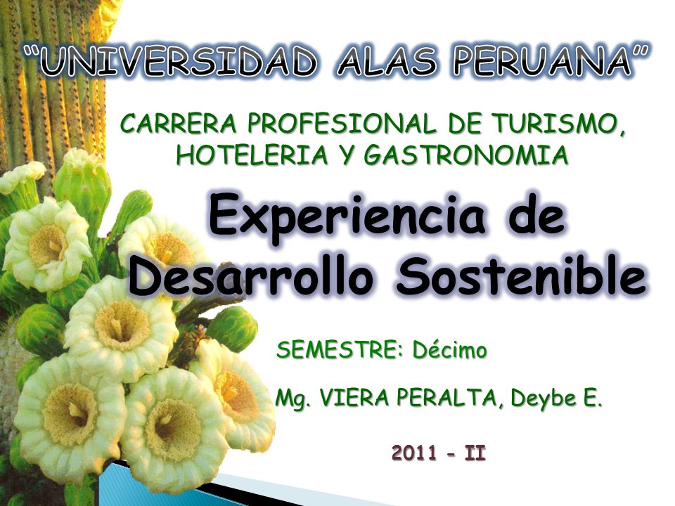 UNIVERSIDAD ALAS PERUANA Experiencia de Desarrollo Sostenible