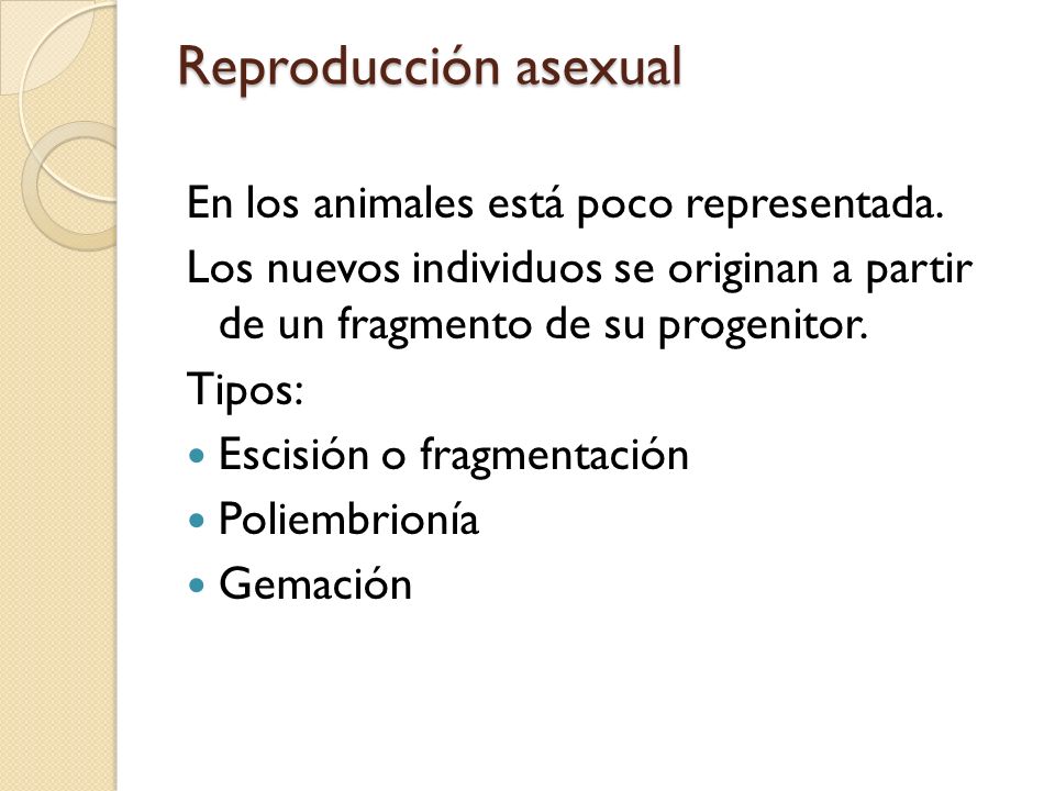 Reproducción asexual En los animales está poco representada.