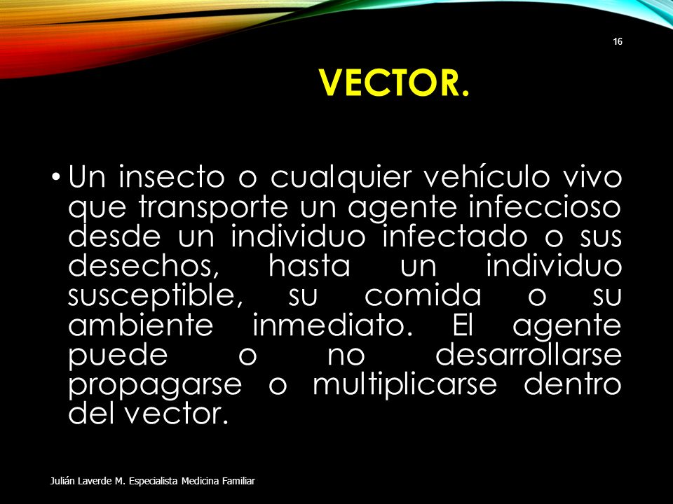 Vector.