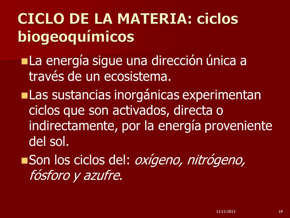 CICLO DE LA MATERIA: ciclos biogeoquímicos