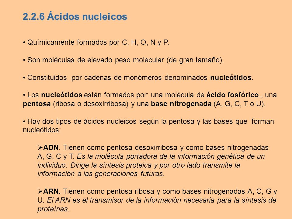 2.2.6 Ácidos nucleicos • Químicamente formados por C, H, O, N y P.