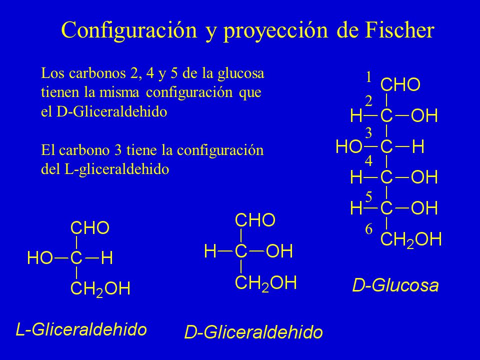 Configuración y proyección de Fischer