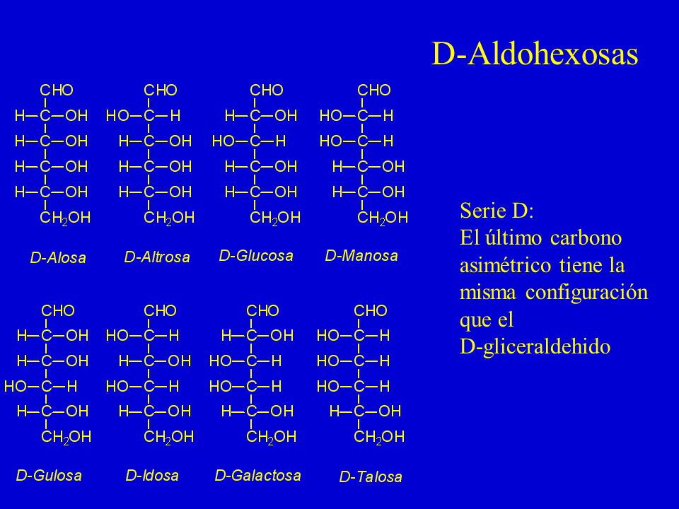 D-Aldohexosas Serie D: El último carbono asimétrico tiene la