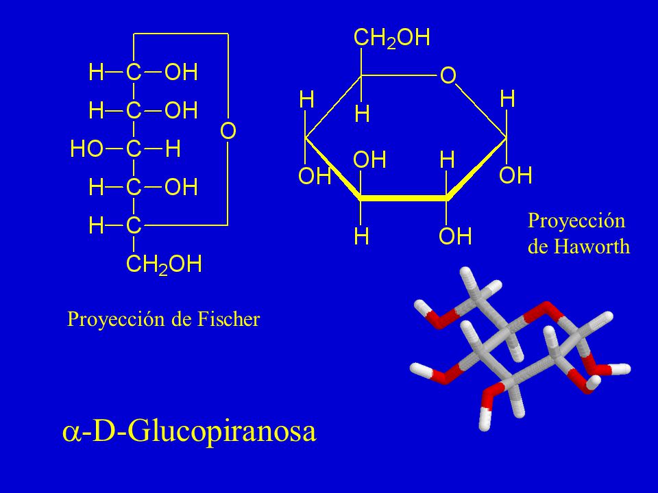 Proyección de Haworth Proyección de Fischer a-D-Glucopiranosa
