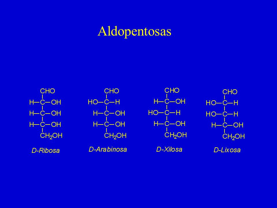 Aldopentosas
