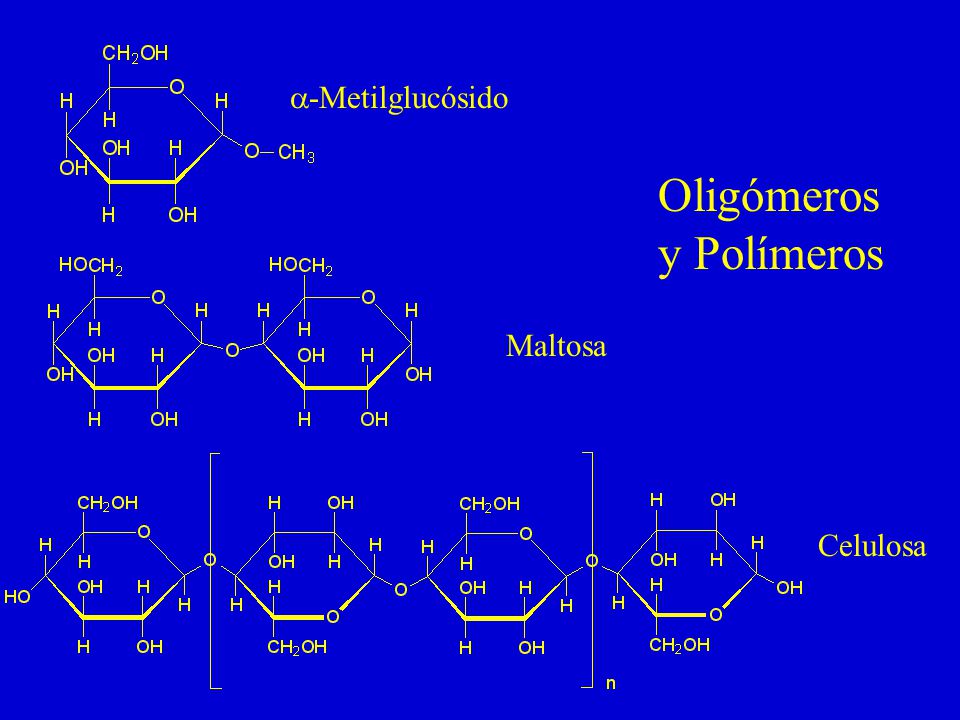 a-Metilglucósido Oligómeros y Polímeros Maltosa Celulosa