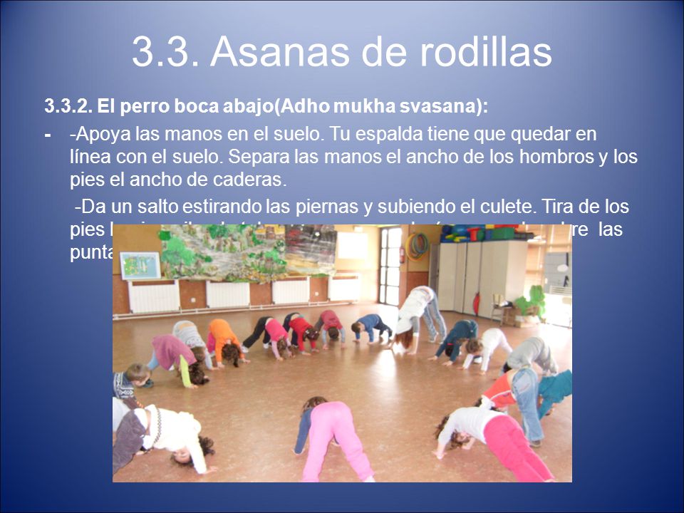 3.3. Asanas de rodillas El perro boca abajo(Adho mukha svasana):