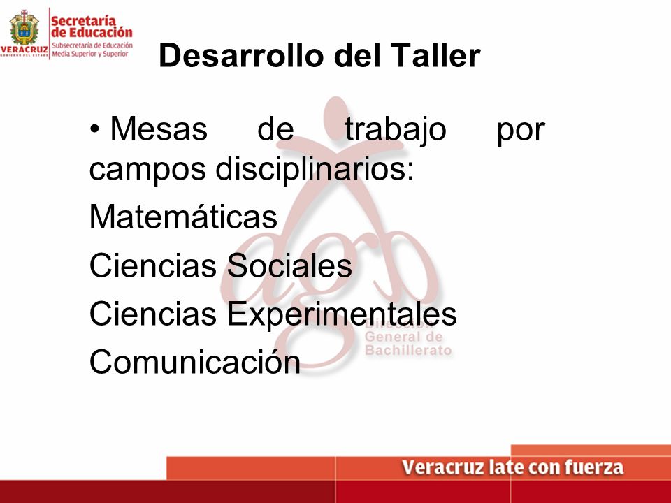 Desarrollo del Taller Mesas de trabajo por campos disciplinarios: Matemáticas. Ciencias Sociales.
