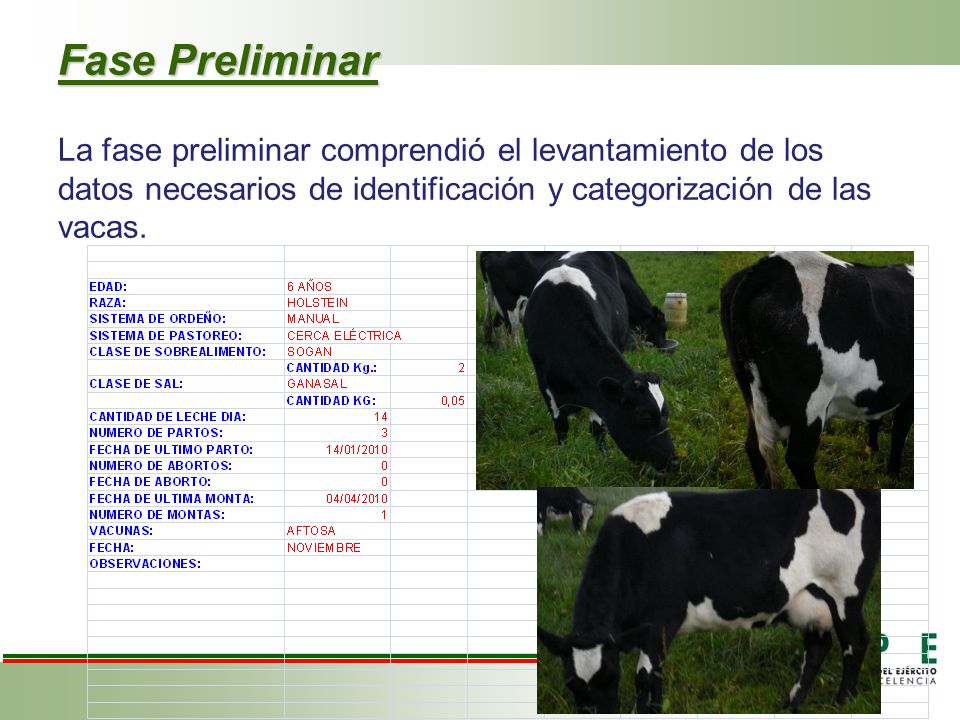 Fase Preliminar La fase preliminar comprendió el levantamiento de los datos necesarios de identificación y categorización de las vacas.