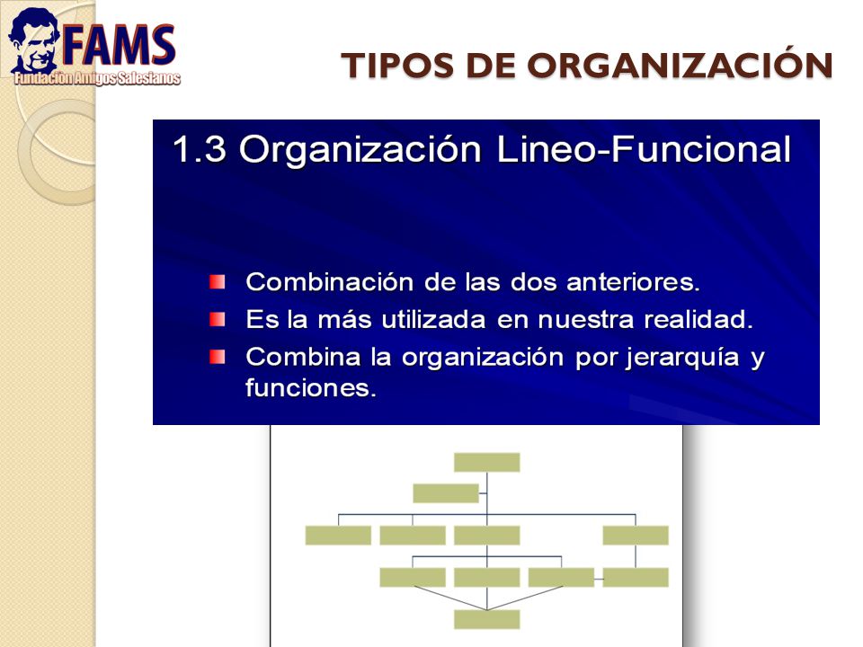 TIPOS DE ORGANIZACIÓN