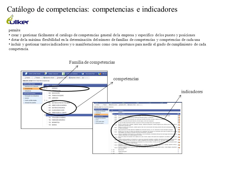 Catálogo de competencias: competencias e indicadores