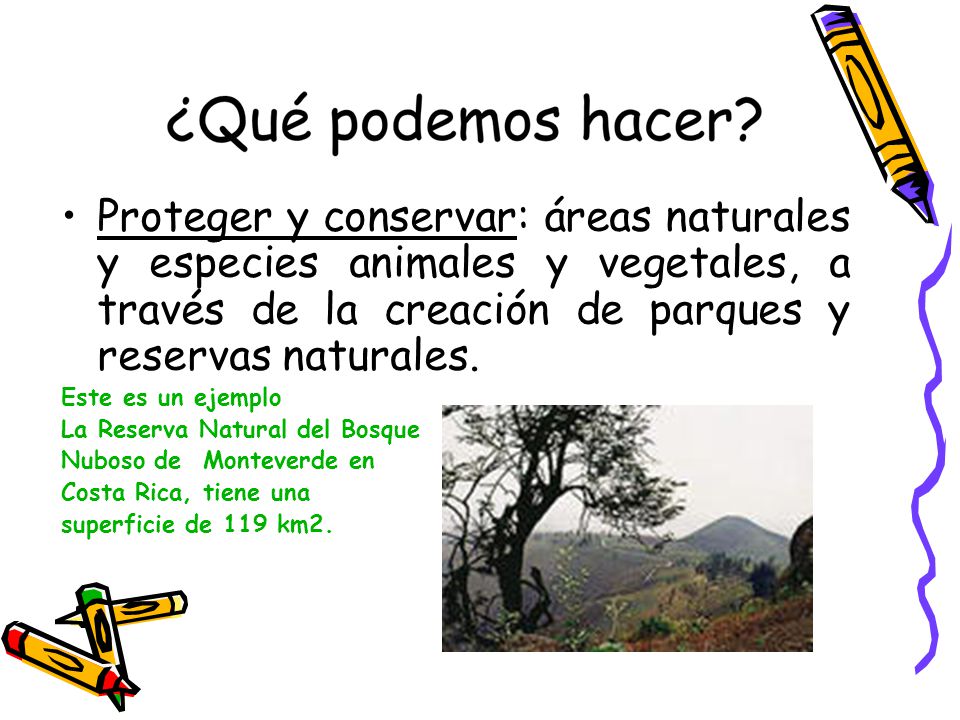 Proteger y conservar: áreas naturales y especies animales y vegetales, a través de la creación de parques y reservas naturales.