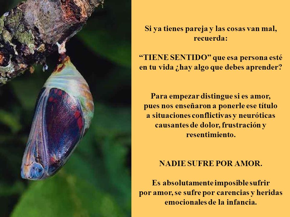 Si ya tienes pareja y las cosas van mal, recuerda: