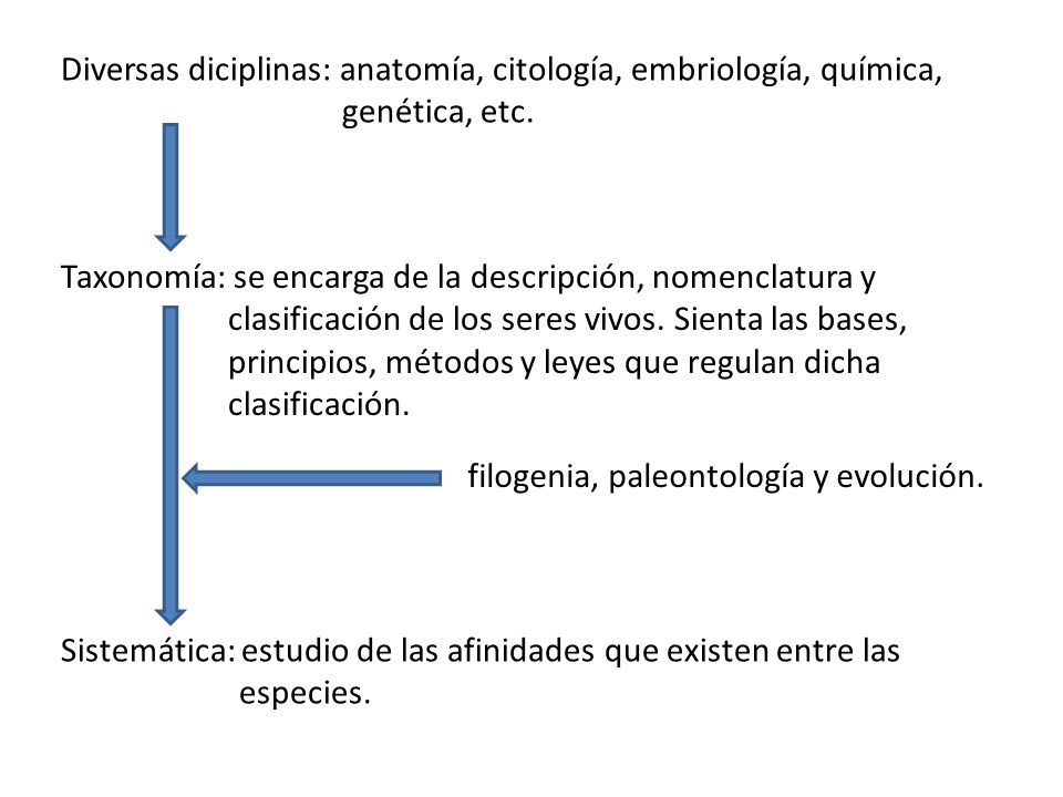Diversas diciplinas: anatomía, citología, embriología, química, genética, etc.