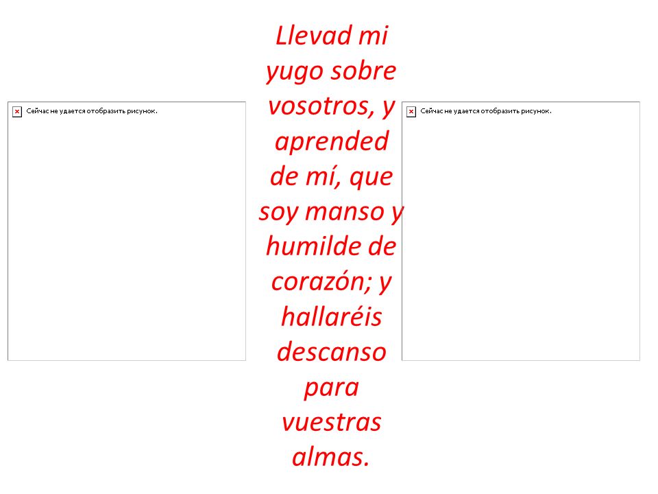 Llevad mi yugo sobre vosotros, y aprended de mí, que soy manso y humilde de corazón; y hallaréis descanso para vuestras almas.