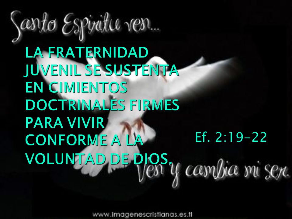 LA FRATERNIDAD JUVENIL SE SUSTENTA EN CIMIENTOS DOCTRINALES FIRMES PARA VIVIR CONFORME A LA VOLUNTAD DE DIOS.