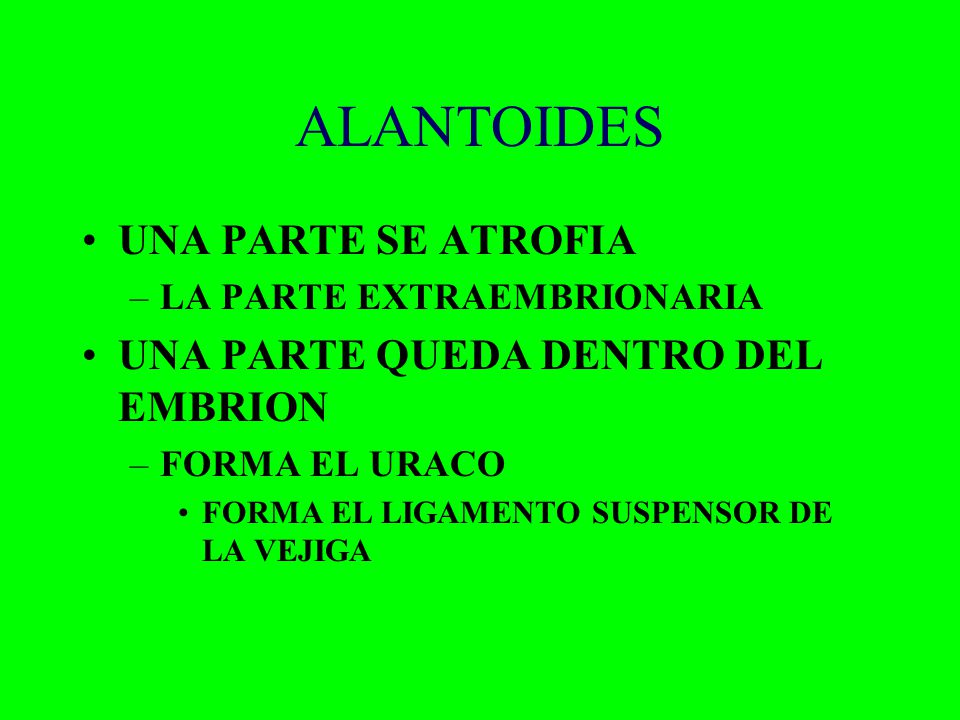 ALANTOIDES UNA PARTE SE ATROFIA UNA PARTE QUEDA DENTRO DEL EMBRION