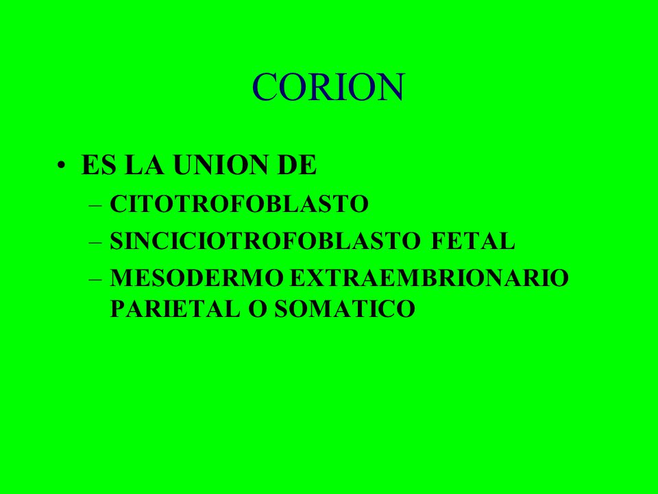 CORION ES LA UNION DE CITOTROFOBLASTO SINCICIOTROFOBLASTO FETAL
