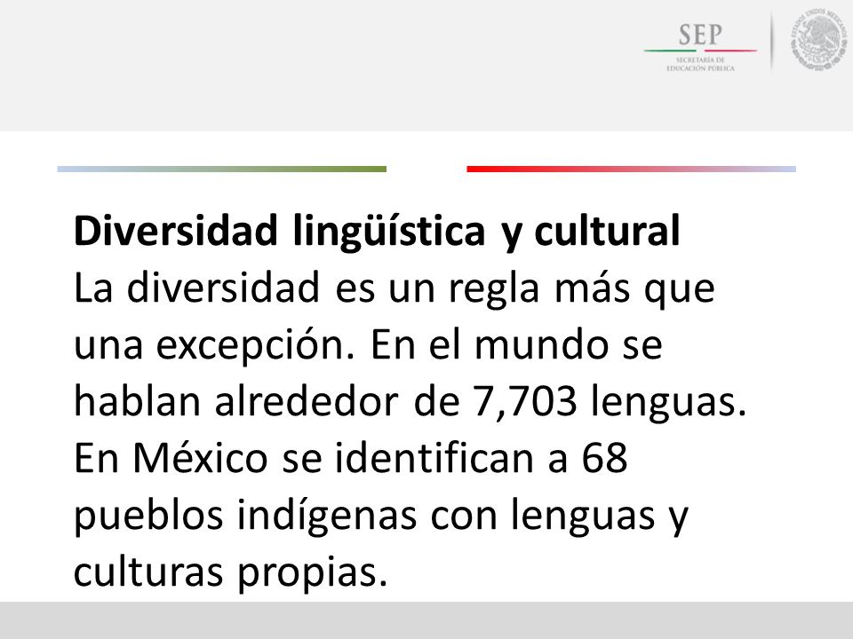 Diversidad lingüística y cultural La diversidad es un regla más que una excepción.