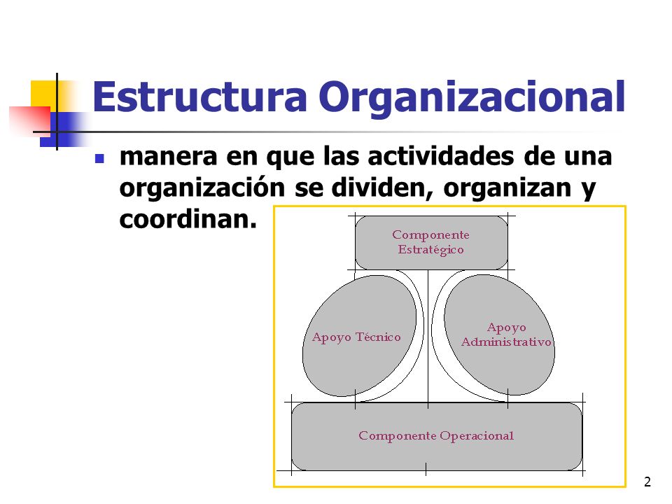 Estructura Organizacional