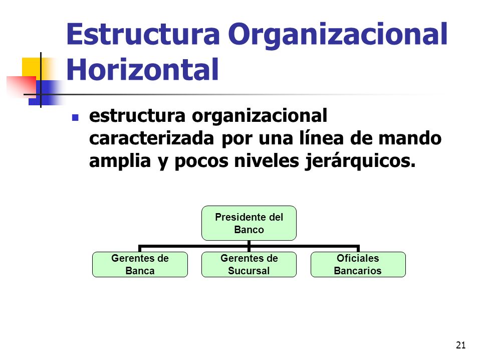 Estructura Organizacional Horizontal