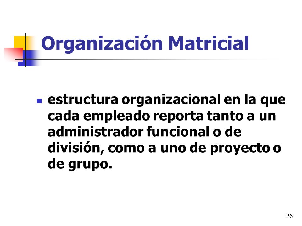 Organización Matricial