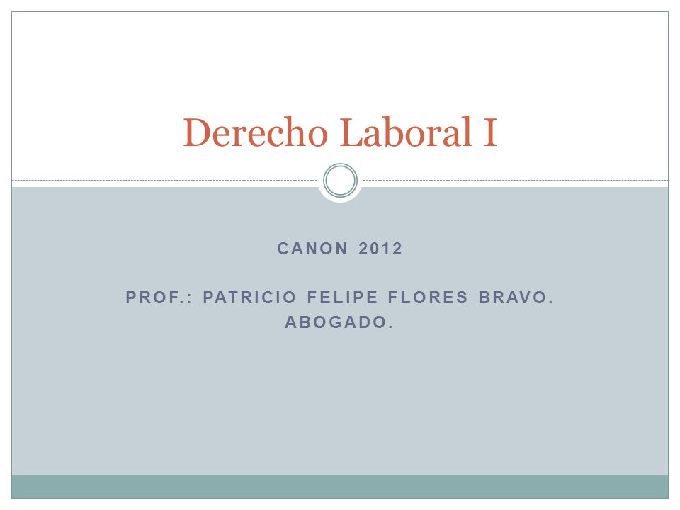 Canon 2012 Prof.: patricio felipe flores bravo. Abogado.