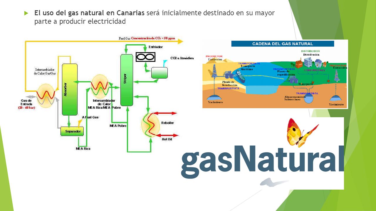 El uso del gas natural en Canarias será inicialmente destinado en su mayor parte a producir electricidad
