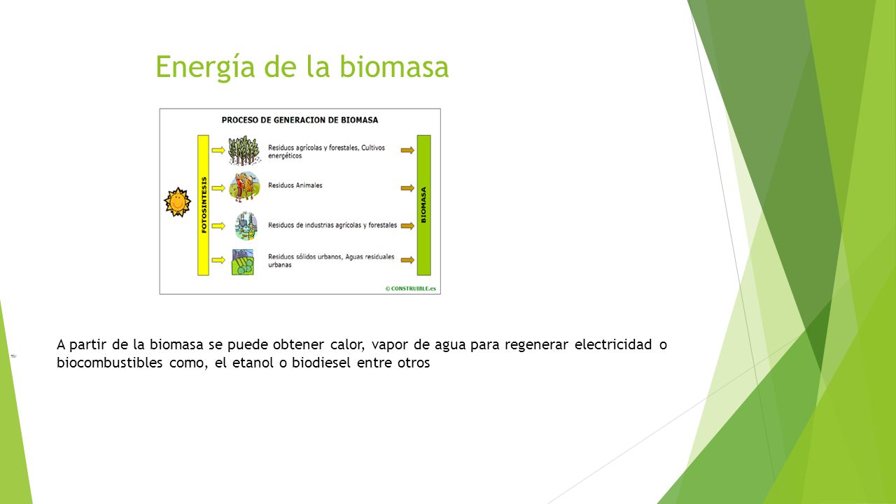 Energía de la biomasa A partir de la biomasa se puede obtener calor, vapor de agua para regenerar electricidad o biocombustibles como, el etanol o biodiesel entre otros