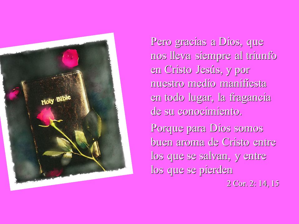 Pero gracias a Dios, que nos lleva siempre al triunfo en Cristo Jesús, y por nuestro medio manifiesta en todo lugar, la fragancia de su conocimiento.