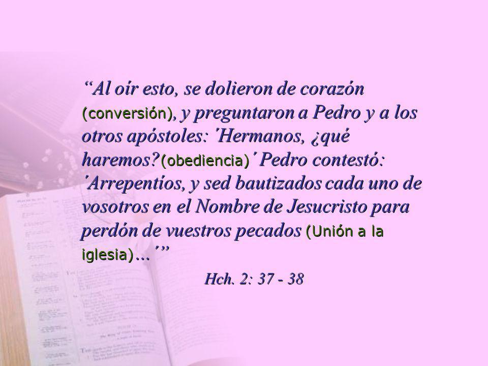 Al oír esto, se dolieron de corazón (conversión), y preguntaron a Pedro y a los otros apóstoles: ´Hermanos, ¿qué haremos (obediencia)´ Pedro contestó: ´Arrepentíos, y sed bautizados cada uno de vosotros en el Nombre de Jesucristo para perdón de vuestros pecados (Unión a la iglesia)…´