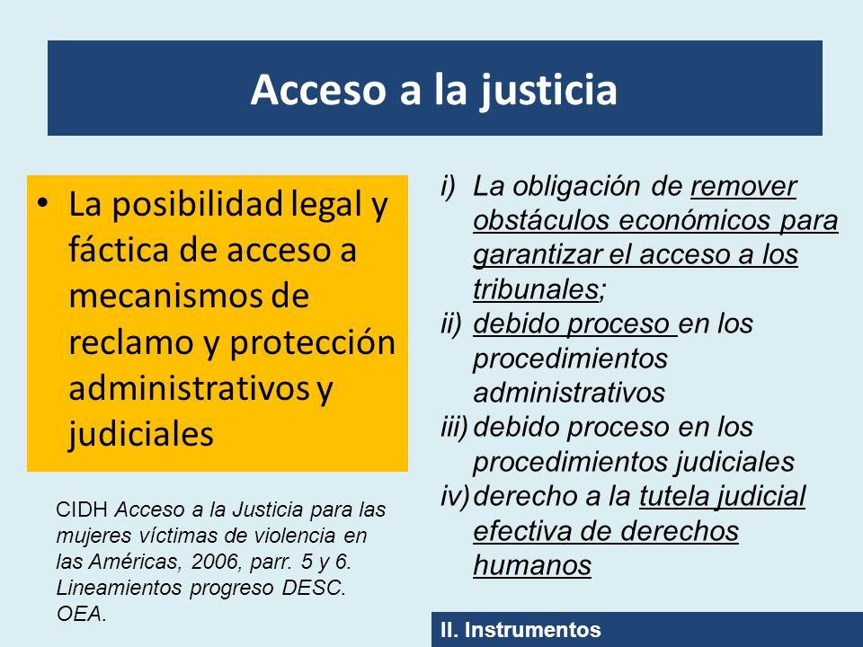 Acceso a la justicia La obligación de remover obstáculos económicos para garantizar el acceso a los tribunales;