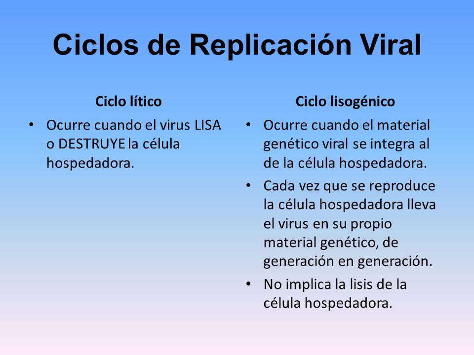 Ciclos de Replicación Viral