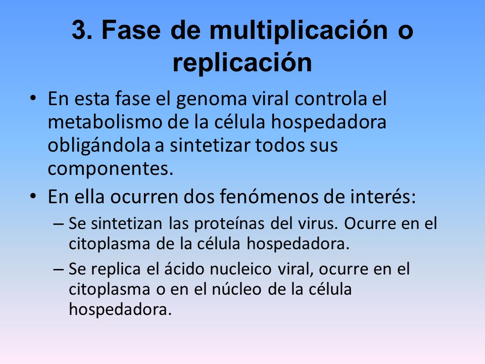 3. Fase de multiplicación o replicación