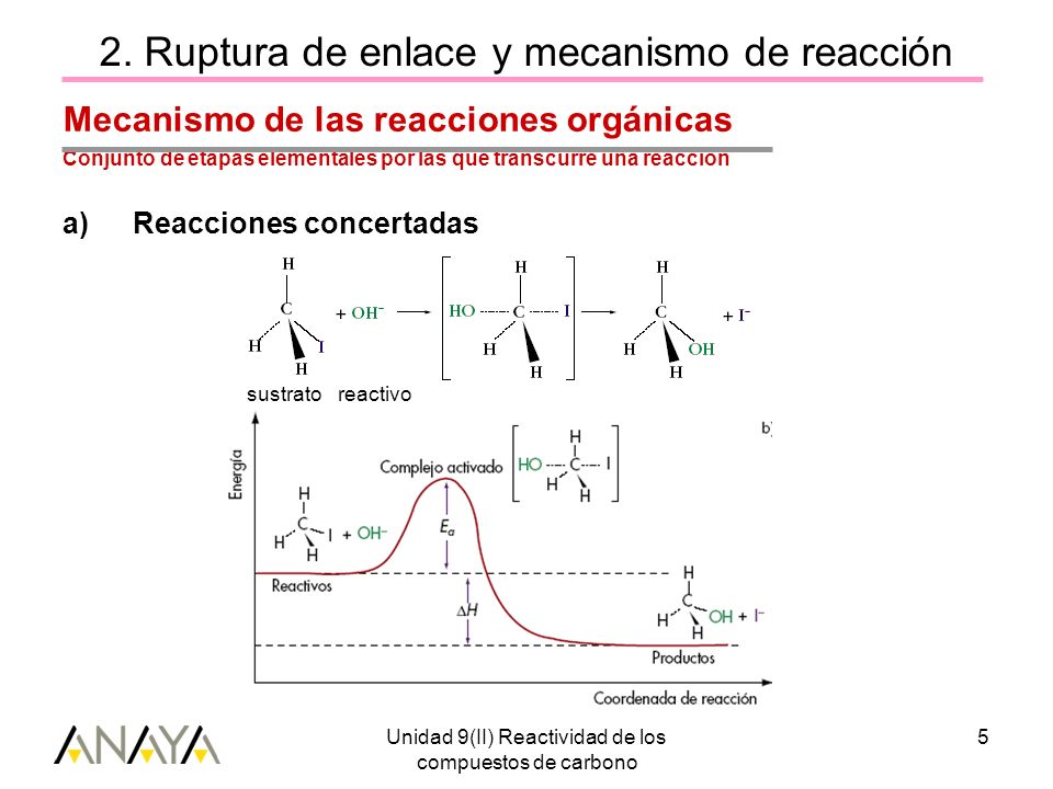 2. Ruptura de enlace y mecanismo de reacción