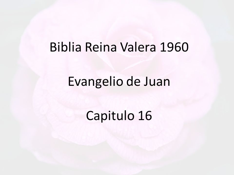 Biblia Reina Valera 1960 Evangelio de Juan Capitulo 16